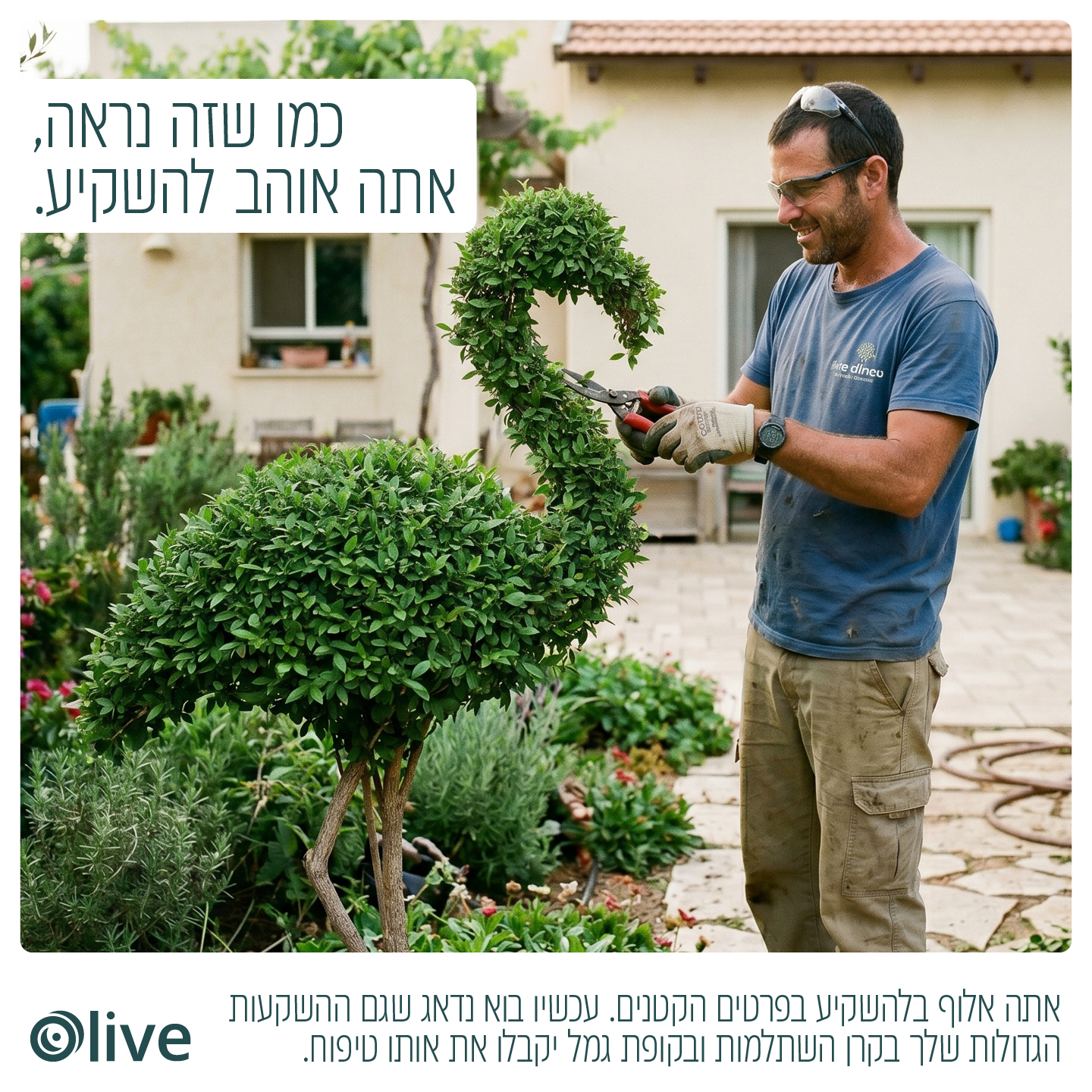 אוליב, קרן השתלמות